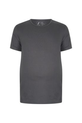 Alca 1-Pck Heren T-Shirt Ronde Hals Grijs XL 